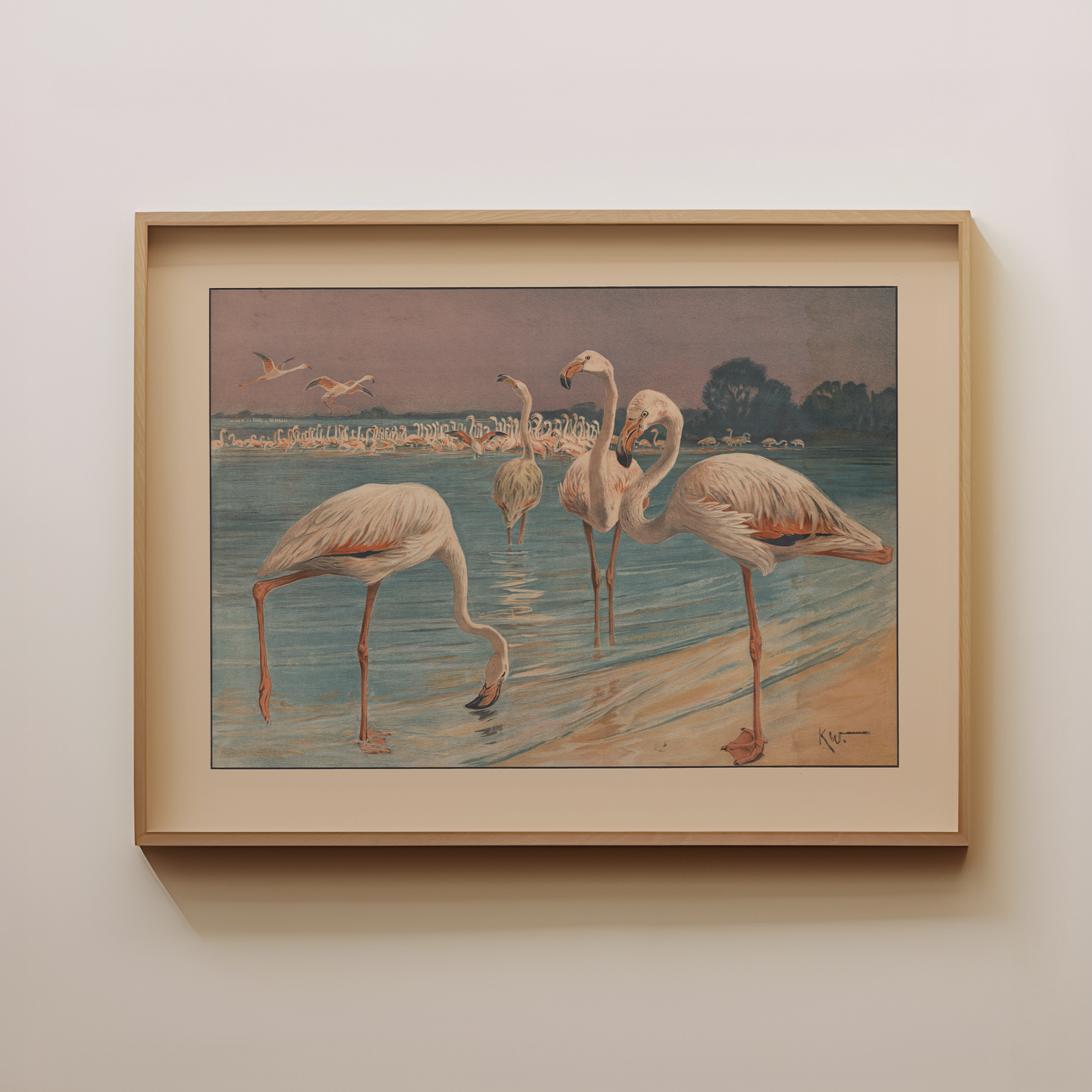 Flamingos in der Dämmerung
