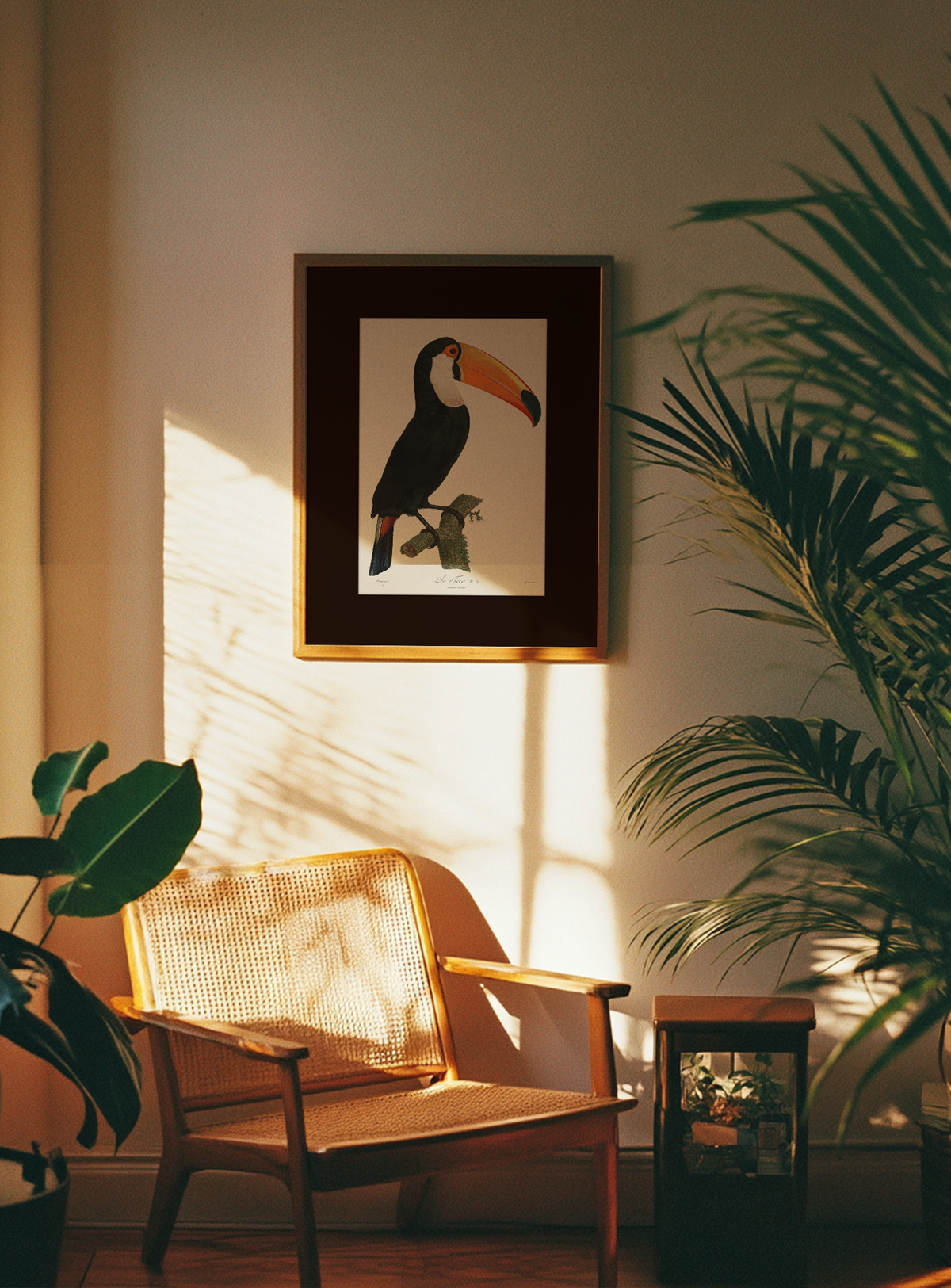 Toucan