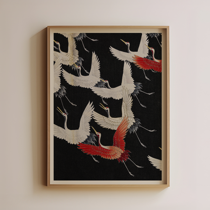 Flying Cranes