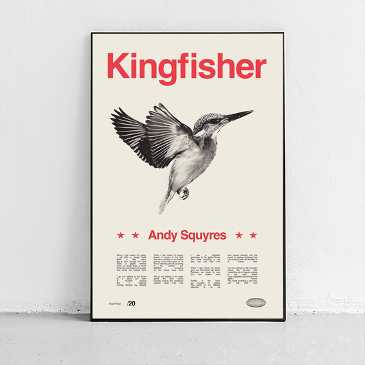 Andy Squyres - Kingfisher