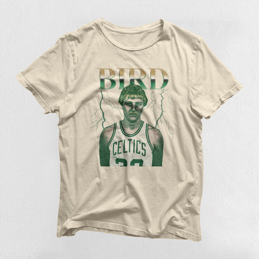 Larry Bird - Boston Celtics