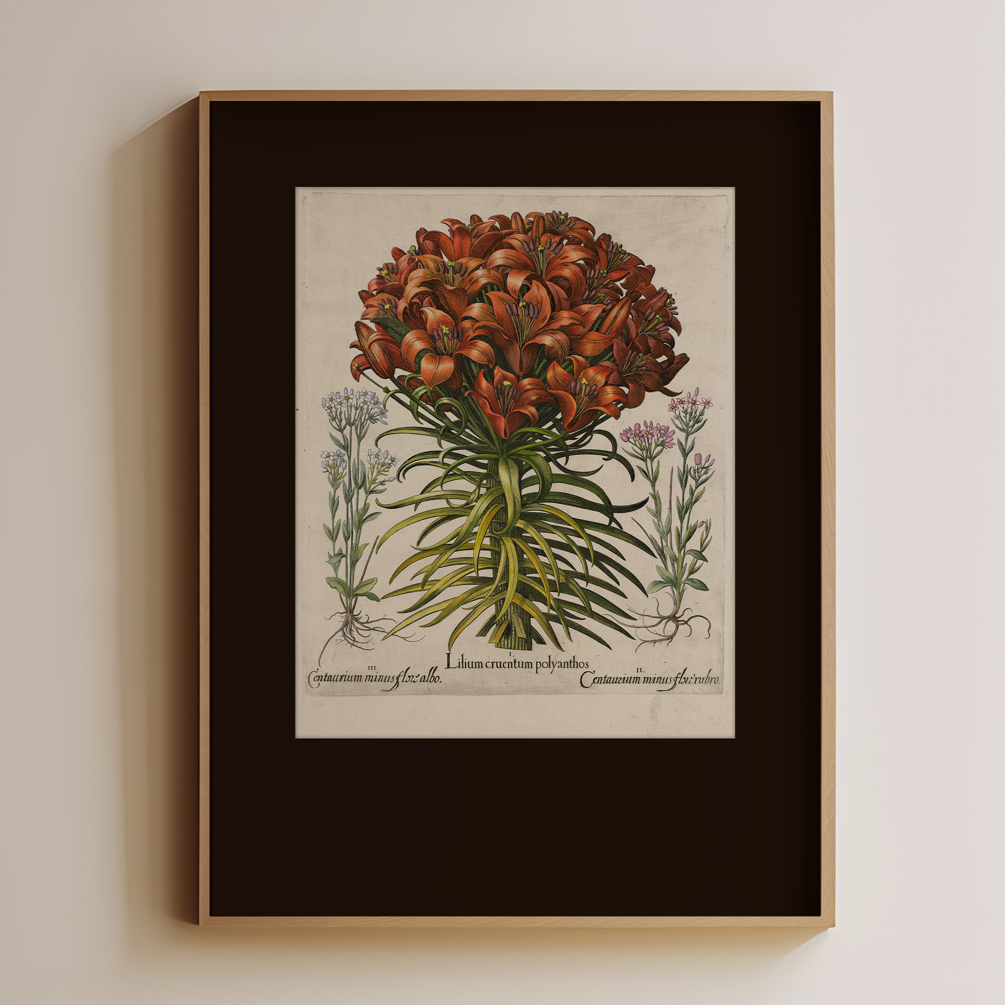 Orange Lily - Image 1