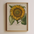 Sunflower - Image 1